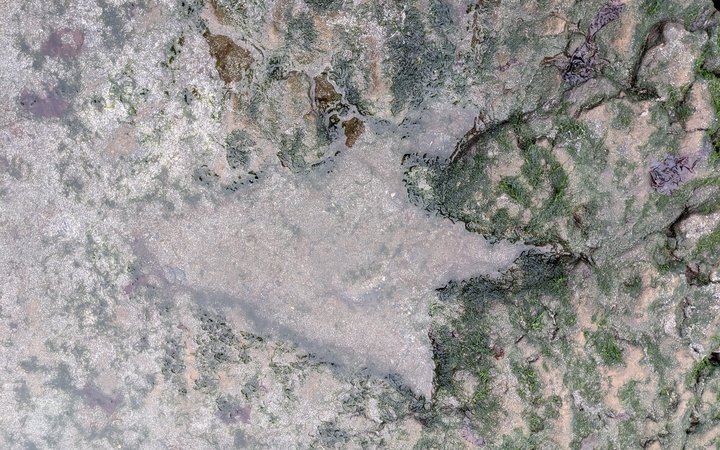 Discover dinosaur footprints on the Isle of Skye