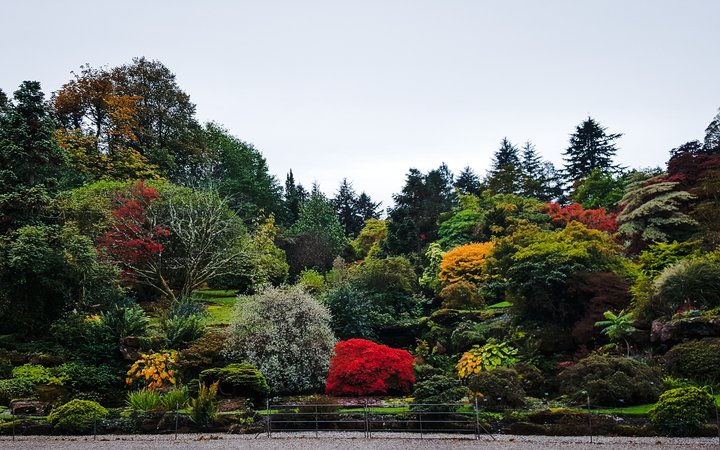 Mount Stuart & Inveraray Castle Garden