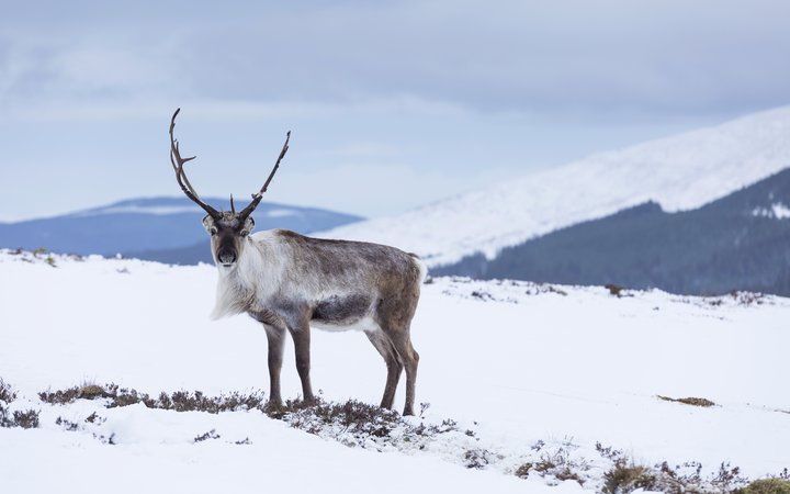 Things to do in the Cairngorms National Park in 2022
